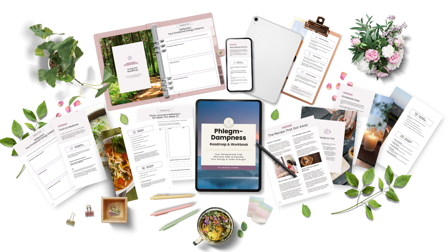 Phlegm-Dampness Roadmap & Workbook