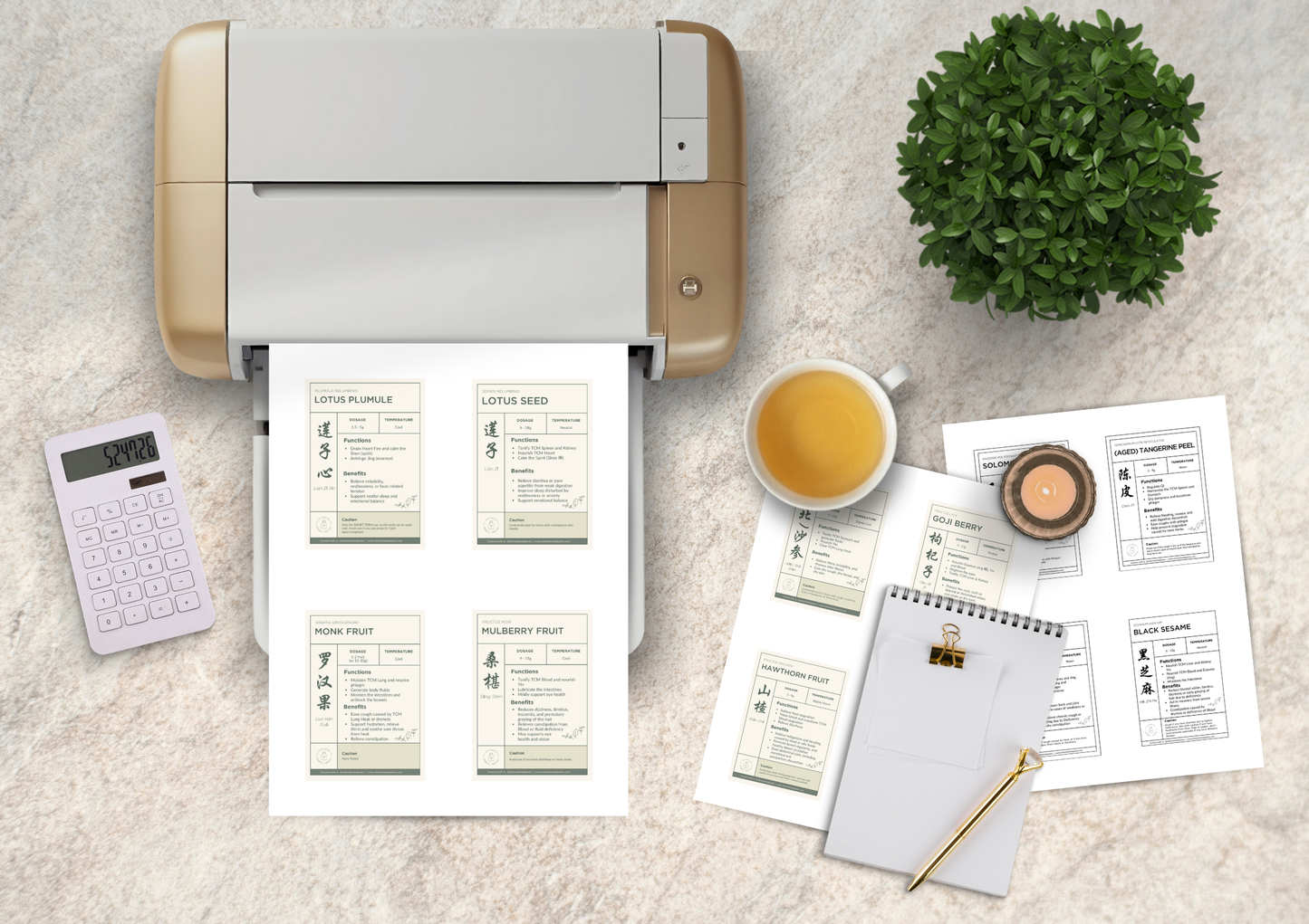 The "Joy in Jars" Herbal Pantry Makeover Bundle