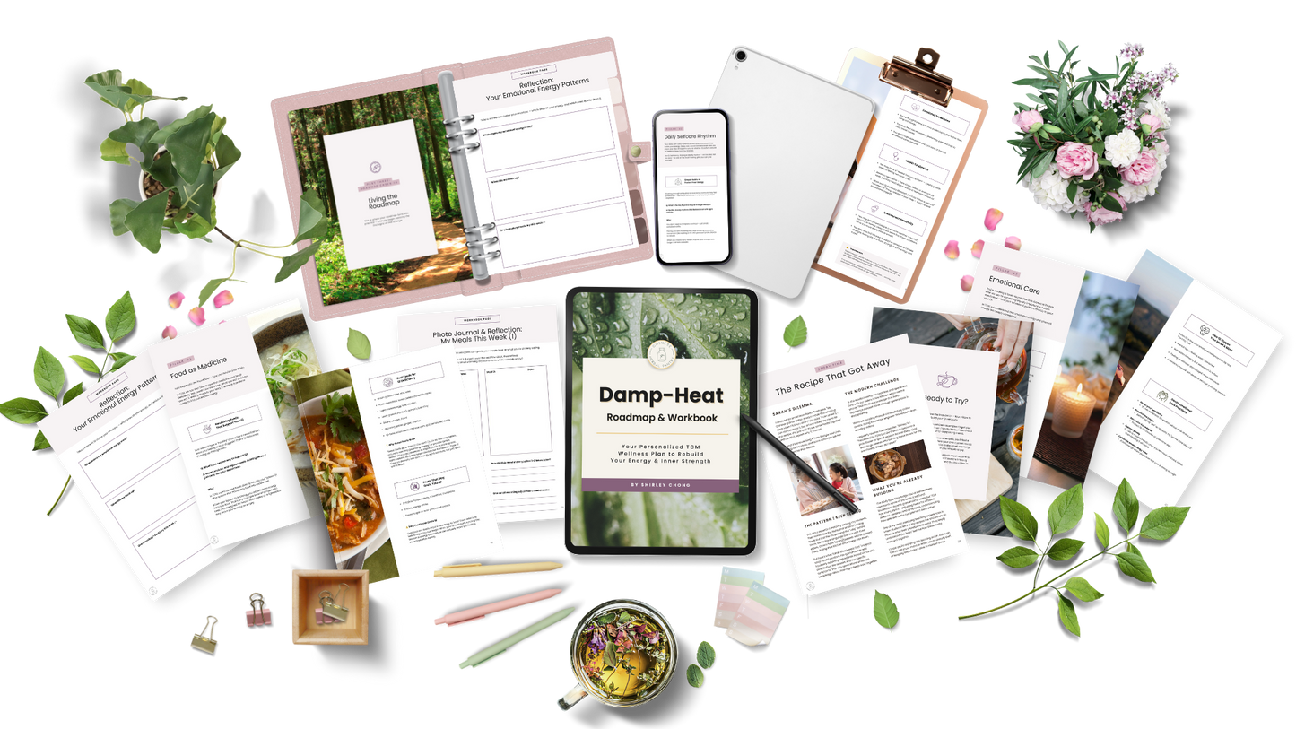 Damp-Heat Roadmap & Workbook