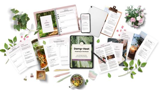 Damp-Heat Roadmap & Workbook