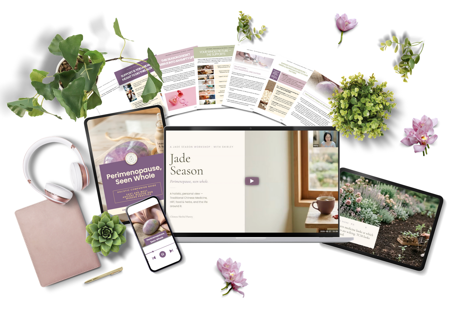 Perimenopause, Seen Whole — Full Workshop Experience