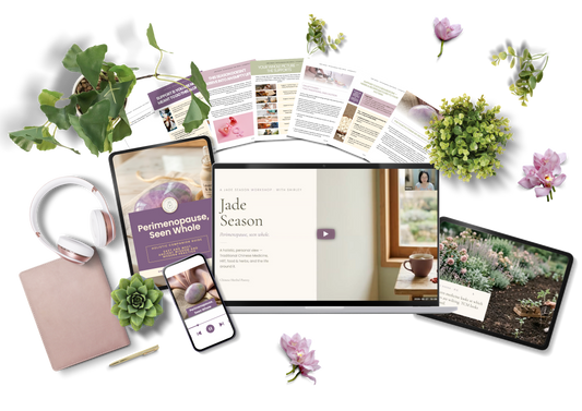 Perimenopause, Seen Whole — Full Workshop Experience
