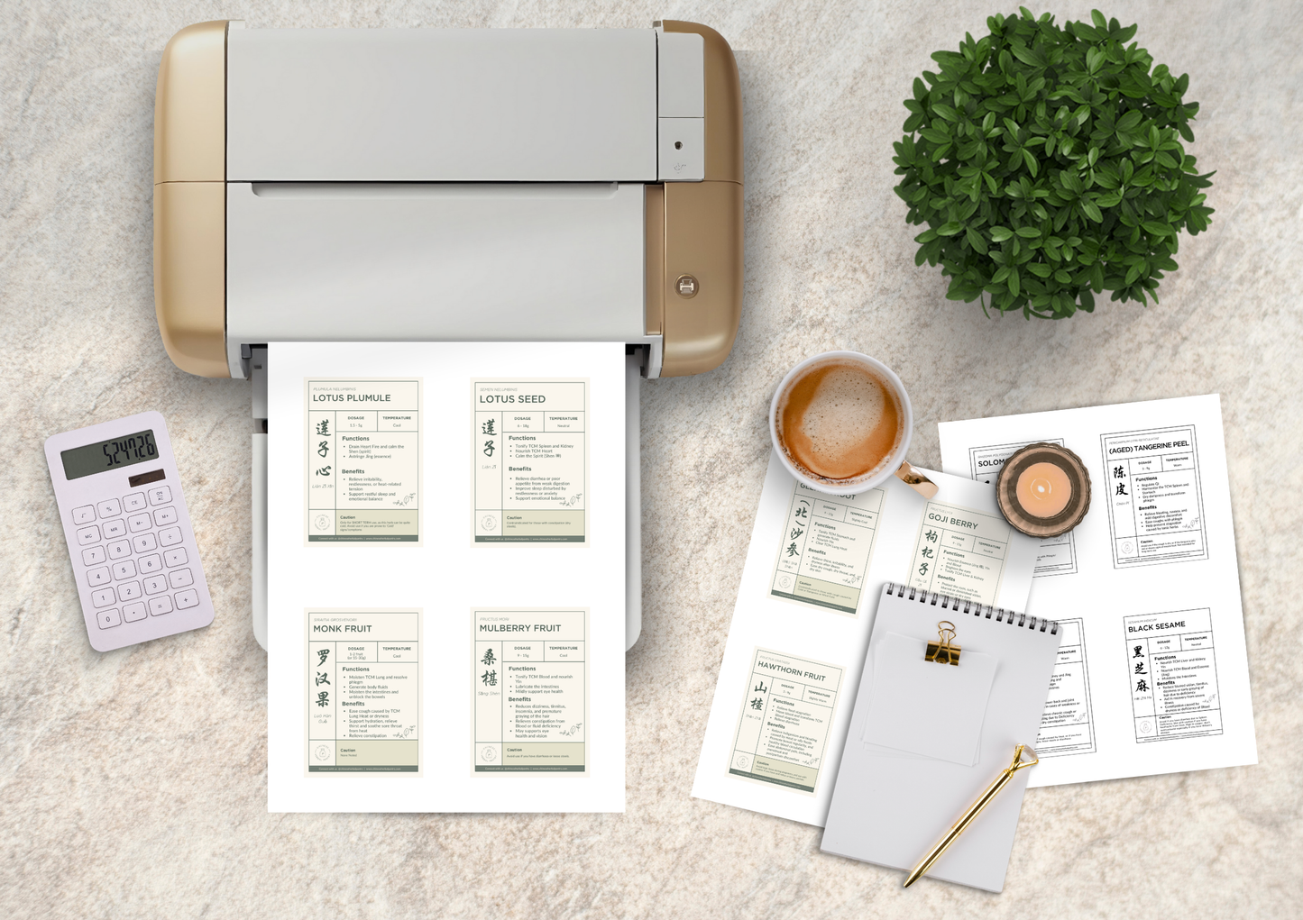 TCM Herb Jar Labels Printable