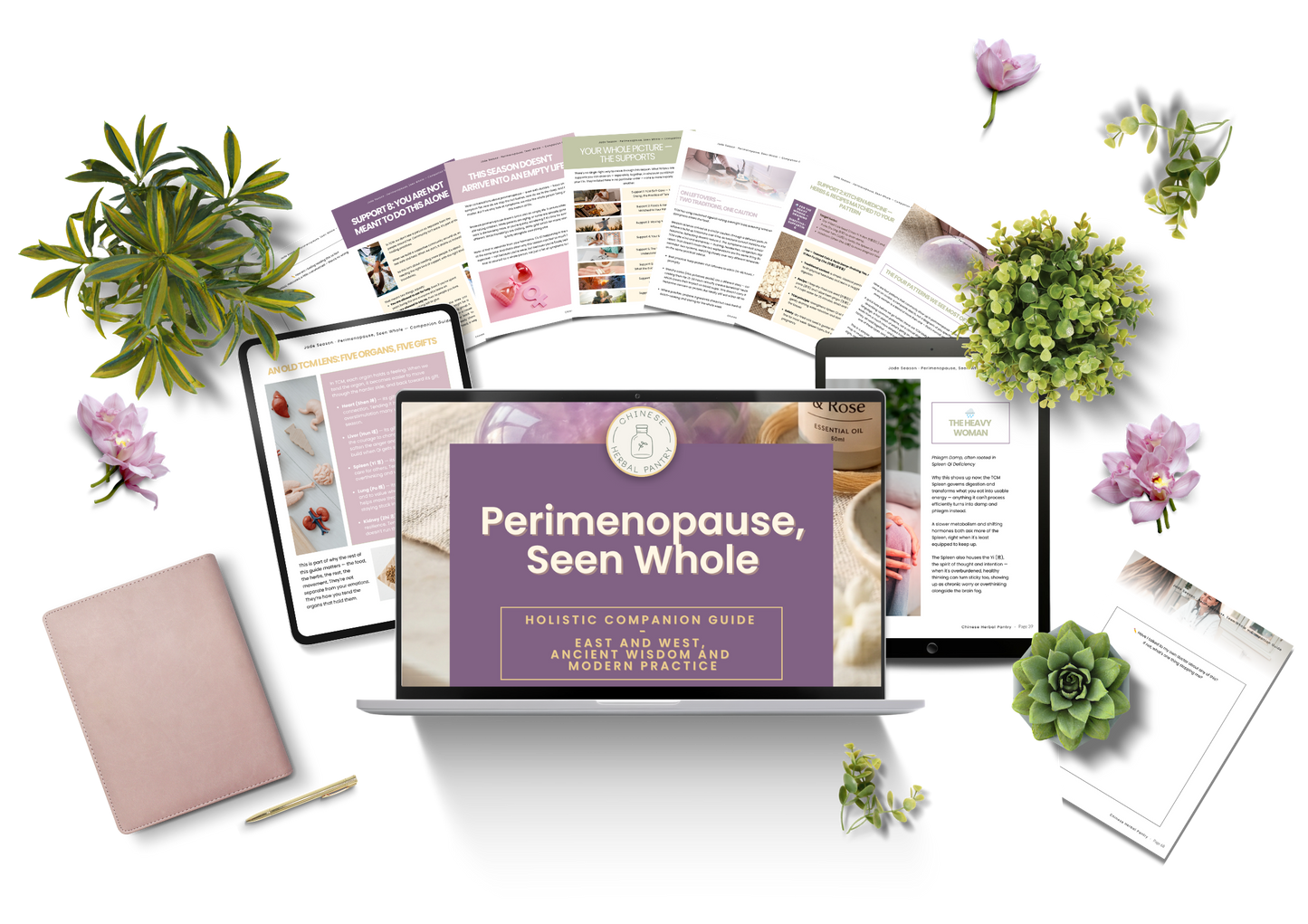 Perimenopause, Seen Whole — Companion Guide