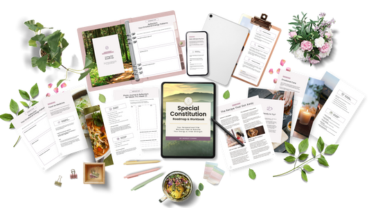 Special Constitution Roadmap & Workbook