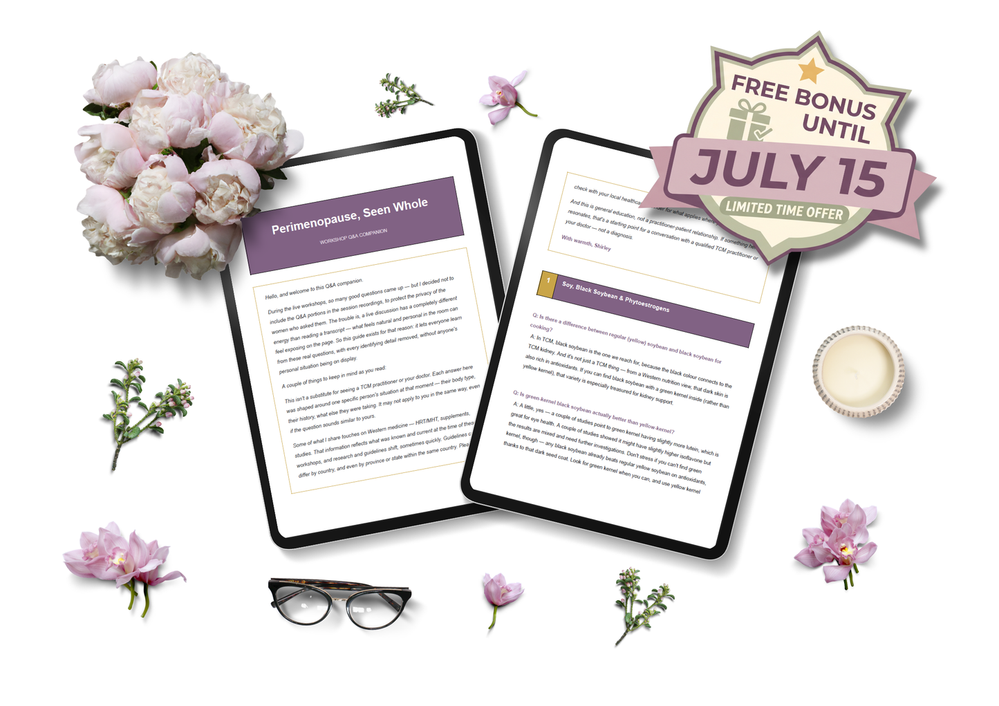 Perimenopause Workshop Upgrade — Video + Audio + Slides
